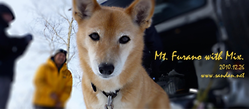 20101226furano-mix.jpg