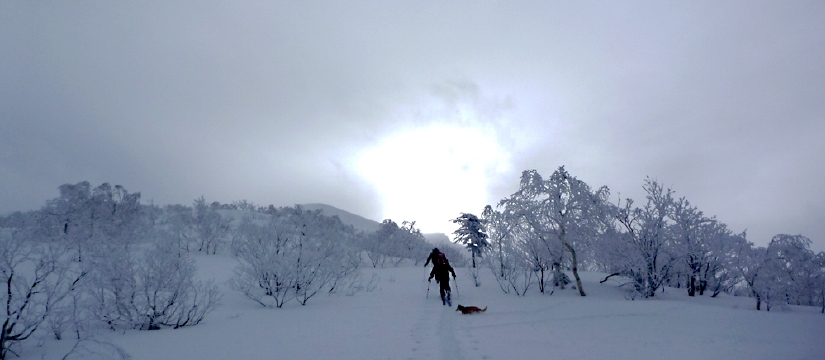 furano20101226.jpg